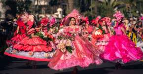 Foto: (Francisco Correia/Visit Madeira)