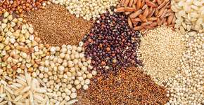 Carboidrato certo pode promover um envelhecimento mais saudável, revela estudo