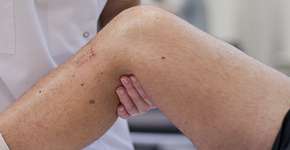 Foto: (Imagem sem texto alternativo disponivel ID [284991])