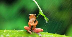 Foto: (Imagem sem texto alternativo disponivel ID [1841941])