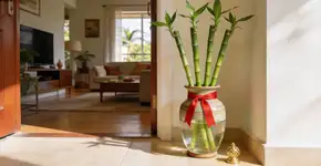 Foto: (Imagem sem texto alternativo disponivel ID [2679039])