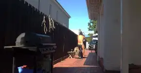 Foto: (Imagem sem texto alternativo disponivel ID [1564363])