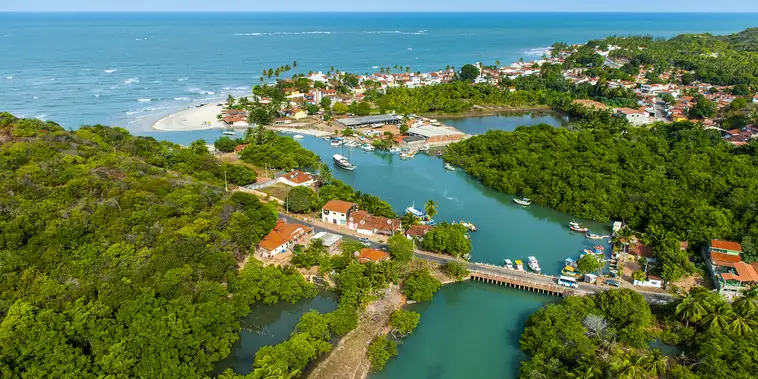 Featured main: Roteiro em Parnamirim (RN) une o maior cajueiro do mundo e ciência