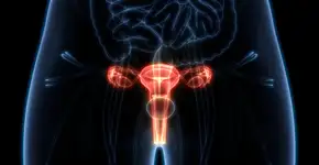 4 sinais de câncer de ovário que não devem ser ignorados