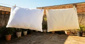 Foto: (Imagem sem texto alternativo disponivel ID [2750054])