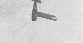 Foto: (Imagem sem texto alternativo disponivel ID [1413671])