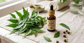 A fruta asiatica que você pode cultivar no seu jardim e que ajuda no controle da diabetes