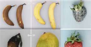 Alimentos podem durar 5 vezes mais: contra fome e desperdício