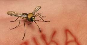 Foto: (Imagem sem texto alternativo disponivel ID [1042438])