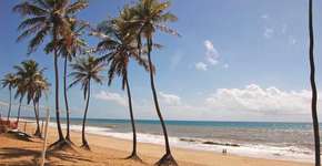 Foto: (Imagem sem texto alternativo disponivel ID [1489528])