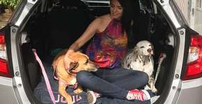 Carro ‘pet friendly’ vira um apê para viagem com cães grandes