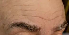 Foto: (Iryna Dobytchina/istock)