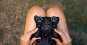 Foto: (manushot/istock)