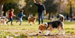 Foto: (Imagem sem texto alternativo disponivel ID [2673452])