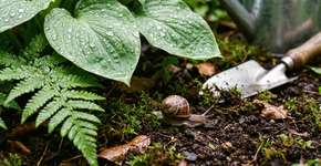 Foto: (Imagem sem texto alternativo disponivel ID [2788110])