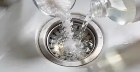 Foto: (Imagem sem texto alternativo disponivel ID [2684366])