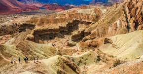 Foto: (Sérgio André/Pexels)