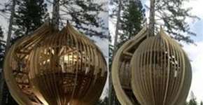 Um pequeno restaurante, numa grande árvore é um enorme pedido de desculpa