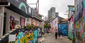 Faça uma visita guiada pelo Parque da Vila e Beco do Batman