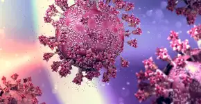 Foto: (Imagem sem texto alternativo disponivel ID [2749207])