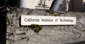 Foto: (Wolterk/iStock)