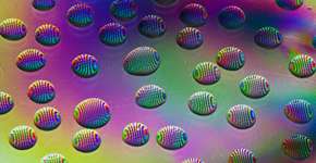 Curso on-line sobre ciência dos psicodélicos; confira