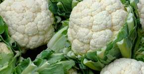 Couve-flor pode ajudar a inibir aumento de células cancerígenas