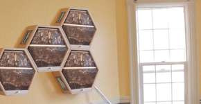 Colmeia modular estimula produção de mel caseiro