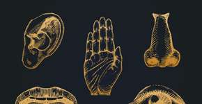 Foto: (vladayoung/DepositPhotos)