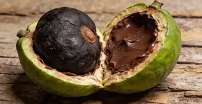 Foto: (Imagem sem texto alternativo disponivel ID [2703587])