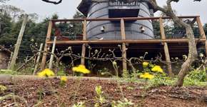 Tonel de vinho vira hospedagem de luxo em São Roque (SP)