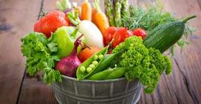 Saúde à mesa: aplicativo gratuito ensina a cultivar horta em casa