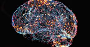 Foto: (nopparit/istock)