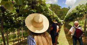 Foto: (Divulgação)