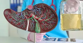 Entenda como o consumo excessivo e ocasional de álcool é um risco para o fígado