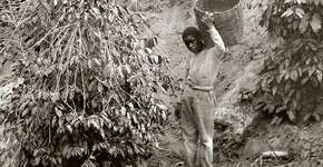 Kinoteca – Kinoforum na Cinemateca