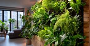 Seu apê merece um ar natural, como montar uma jardim vertical simples