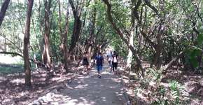 Caminhada meditativa no parque