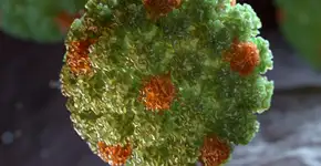 Tipos de câncer que se desenvolvem de forma silenciosa