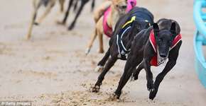 Foto: (© Getty Images)