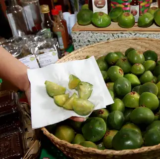 Gira event: Festival do Cambuci 2026 agita Paranapiacaba com gastronomia e shows gratuitos