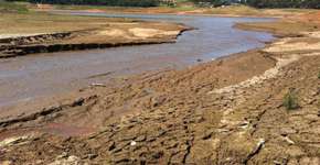 Foto: (Imagem sem texto alternativo disponivel ID [1619451])