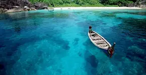 Foto: (Divulgação/Zarpo)