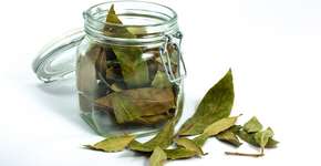 Foto: (Imagem sem texto alternativo disponivel ID [1031705])