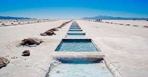 Foto: (Imagem sem texto alternativo disponivel ID [1519920])