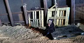 Menino de 3 anos é abandonado na fronteira dos EUA