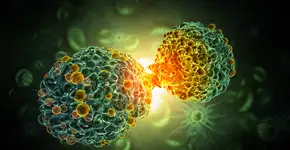 Vitamina contribui para redução de risco de câncer no intestino