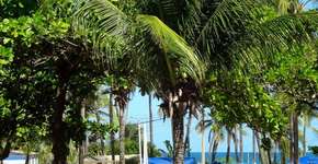 Foto: (Imagem sem texto alternativo disponivel ID [951717])