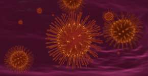 Foto: (nonnie192/istock)