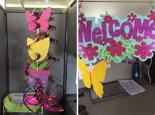 Foto: Reprodução/Amanda Jette Knox